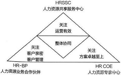數(shù)字化時(shí)代下人力資源組織系統(tǒng)的演變與人力資源服務(wù)的轉(zhuǎn)型升級